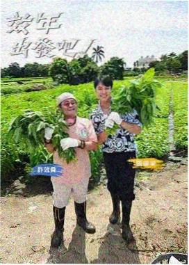 城市漫游者 人文综艺在线播放